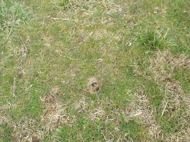 6294 Snail Shell Cave Rd, Rockvale, TN 37153