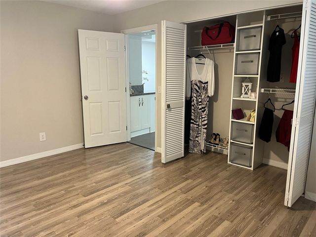 528 GOLDEN RAINTREE PLACE, Brandon, FL 33510