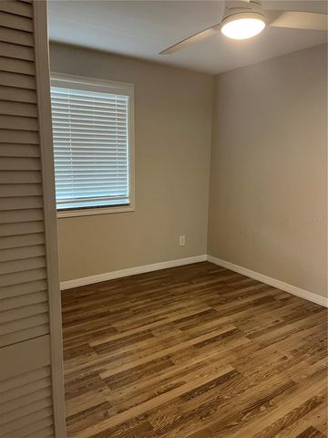 528 GOLDEN RAINTREE PLACE, Brandon, FL 33510