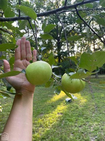 1861 Greene 715 Road, Paragould, AR 72450