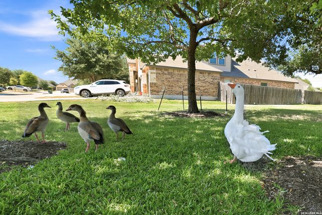8610 Sierra Sky, San Antonio, TX 78254