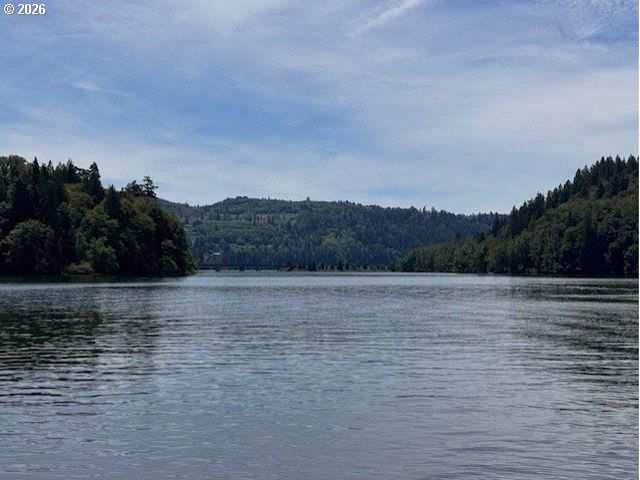 125 VILLAGE Rd, Mossyrock, WA 98564