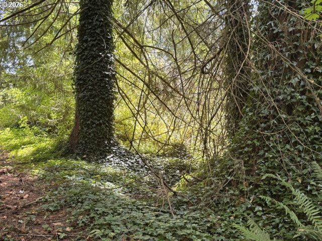 125 VILLAGE Rd, Mossyrock, WA 98564