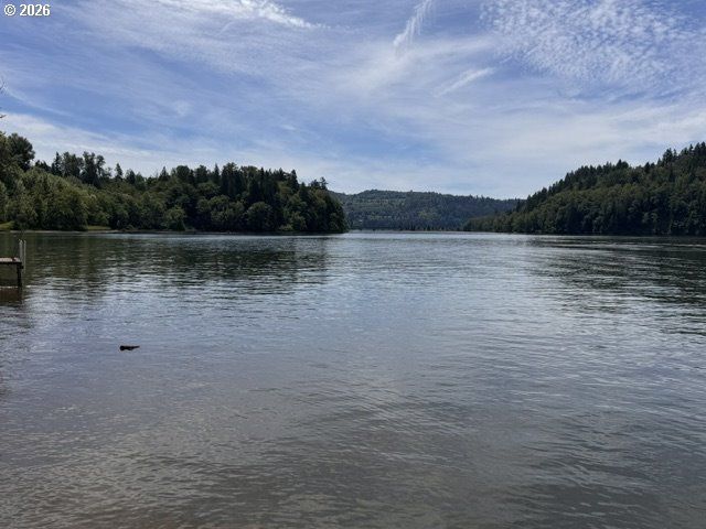 125 VILLAGE Rd, Mossyrock, WA 98564