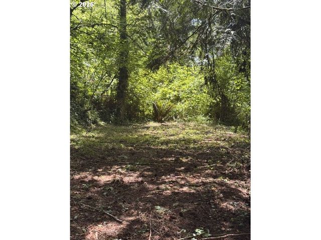 125 VILLAGE Rd, Mossyrock, WA 98564