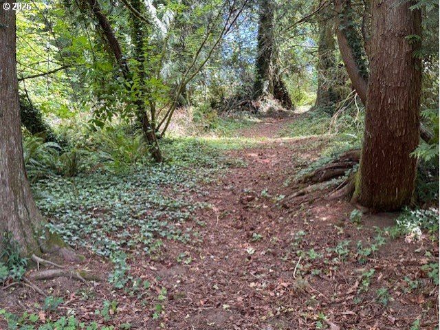 125 VILLAGE Rd, Mossyrock, WA 98564