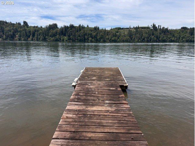 125 VILLAGE Rd, Mossyrock, WA 98564