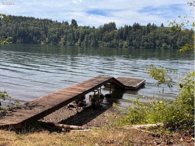 125 VILLAGE Rd, Mossyrock, WA 98564