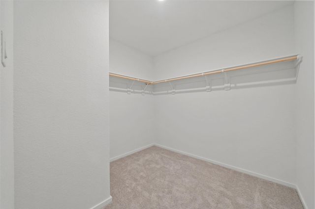 29031 Great Flatland Trail, Hockley, TX 77447