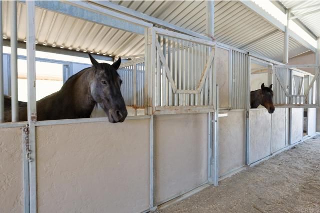 161 Lemon Grove Drive, Fallbrook, CA 92028