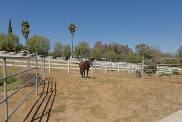 161 Lemon Grove Drive, Fallbrook, CA 92028