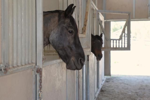 161 Lemon Grove Drive, Fallbrook, CA 92028