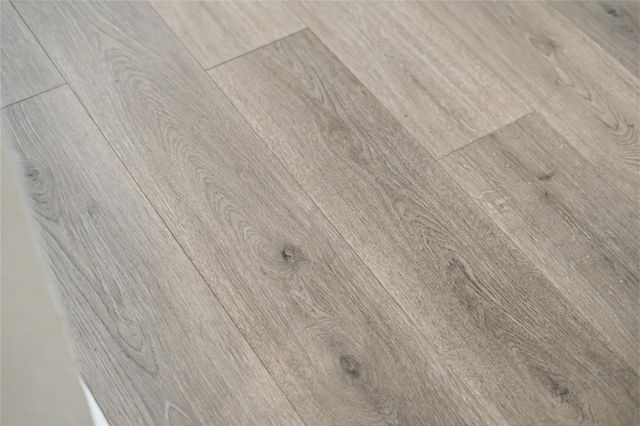 17732 Gold Saddle Lane, Magnolia, TX 77354