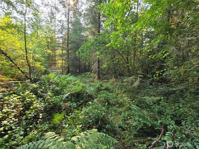 13849 Starflower Lane SE, Yelm, WA 98597