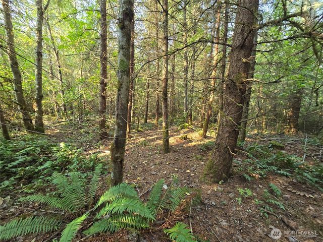 13849 Starflower Lane SE, Yelm, WA 98597