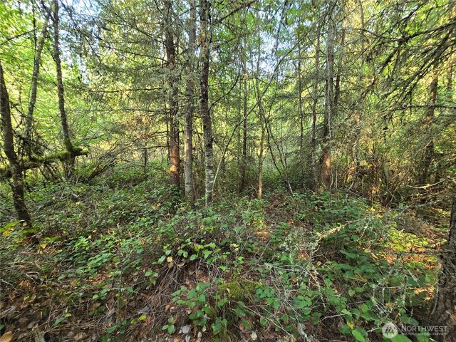 13849 Starflower Lane SE, Yelm, WA 98597