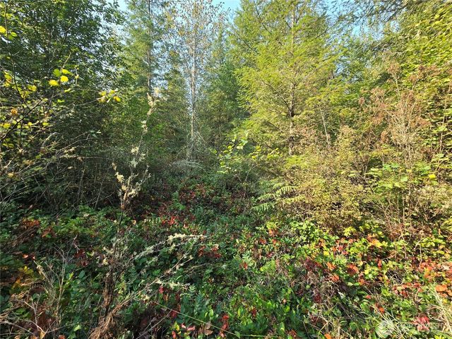 13849 Starflower Lane SE, Yelm, WA 98597
