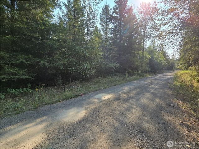 13849 Starflower Lane SE, Yelm, WA 98597