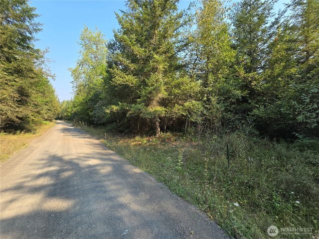 13849 Starflower Lane SE, Yelm, WA 98597