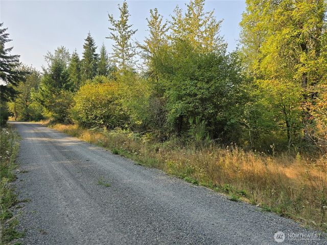13849 Starflower Lane SE, Yelm, WA 98597