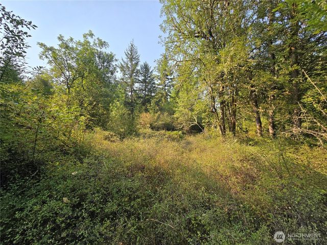 13849 Starflower Lane SE, Yelm, WA 98597