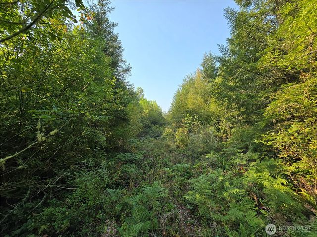 13849 Starflower Lane SE, Yelm, WA 98597