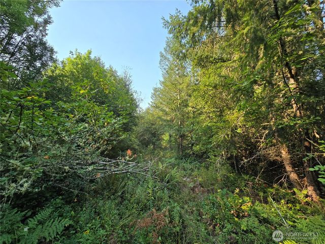 13849 Starflower Lane SE, Yelm, WA 98597