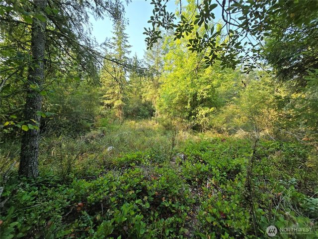 13849 Starflower Lane SE, Yelm, WA 98597