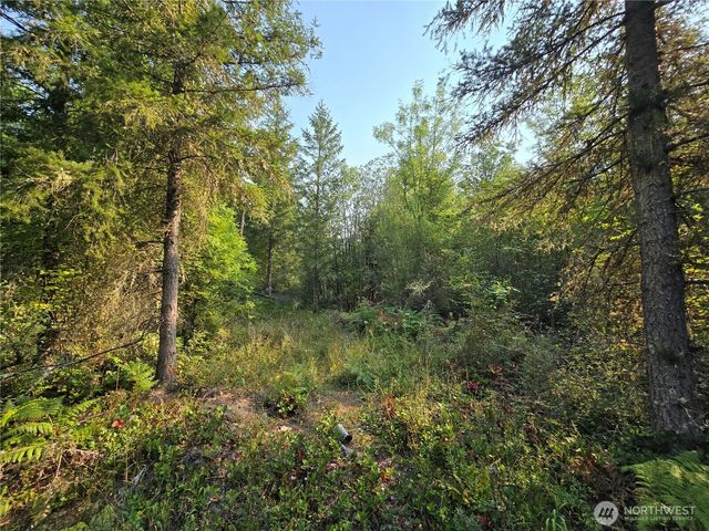 13849 Starflower Lane SE, Yelm, WA 98597