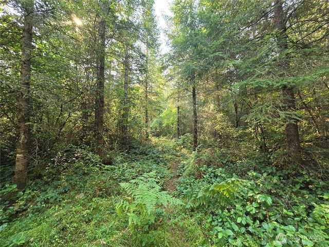 13849 Starflower Lane SE, Yelm, WA 98597