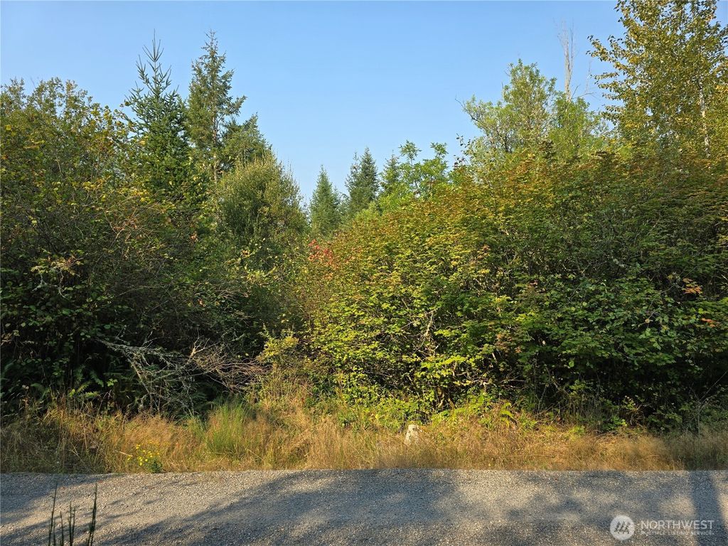 13849 Starflower Lane SE, Yelm, WA 98597