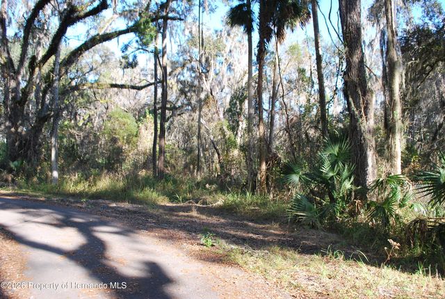 0 Griffin Road, Brooksville, FL 34601