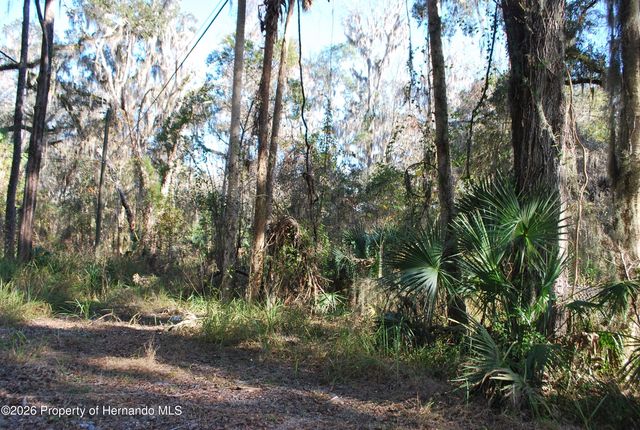 0 Griffin Road, Brooksville, FL 34601