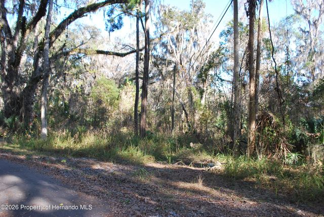 0 Griffin Road, Brooksville, FL 34601