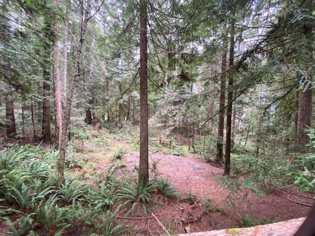 134 Nature Lane, Fickle Hill, CA 95521