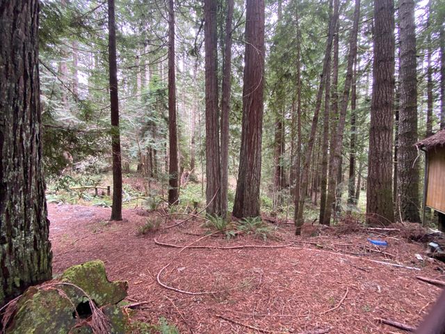 134 Nature Lane, Fickle Hill, CA 95521