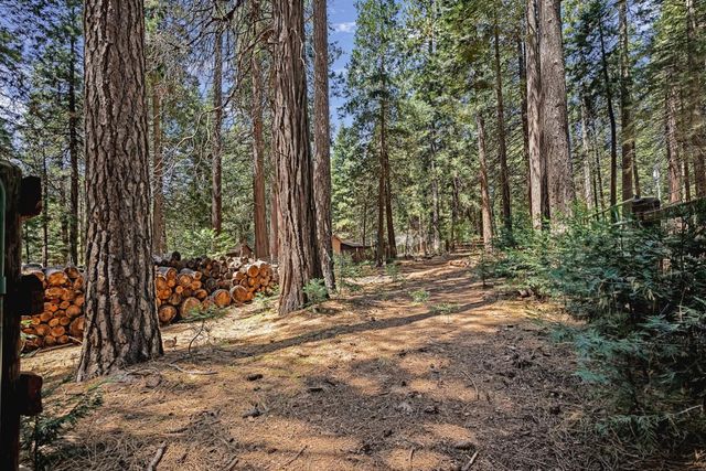 26860 Elmore Ct, Pioneer, CA 95666