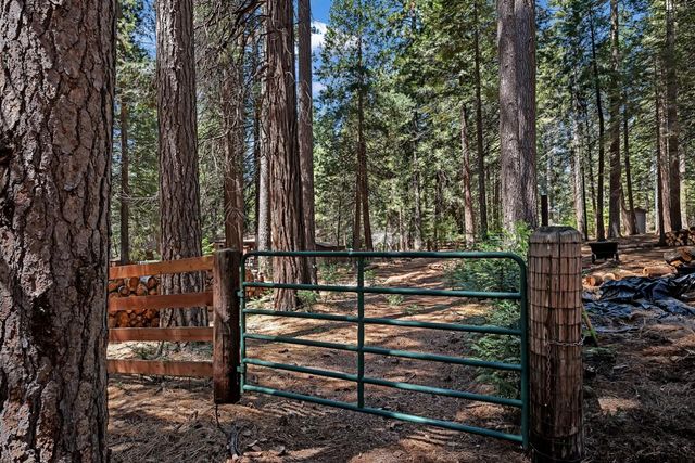 26860 Elmore Ct, Pioneer, CA 95666