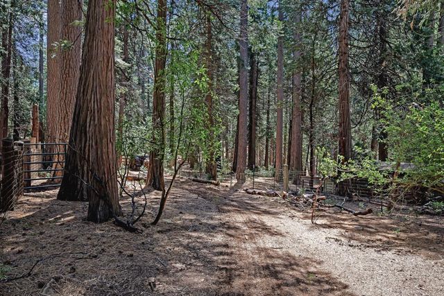 26860 Elmore Ct, Pioneer, CA 95666