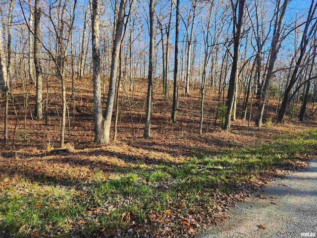 000 W LAKE Road, Pinckneyville, IL 62274