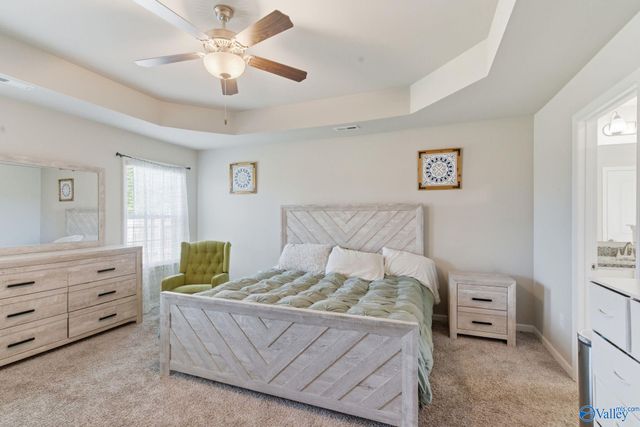 186 Toney School Road, Toney, AL 35773