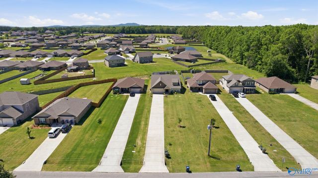 186 Toney School Road, Toney, AL 35773
