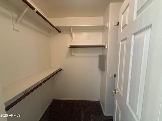 6681 W MEGAN Street, Chandler, AZ 85226