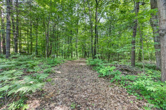 21643 11 Mile Road, Big Rapids, MI 49307