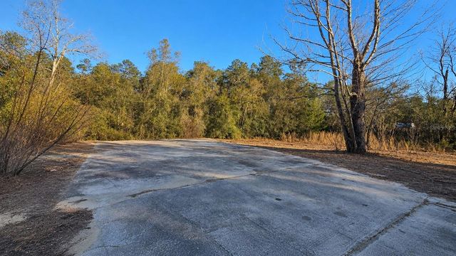 14175 SE 209TH TERRACE, Umatilla, FL 32784