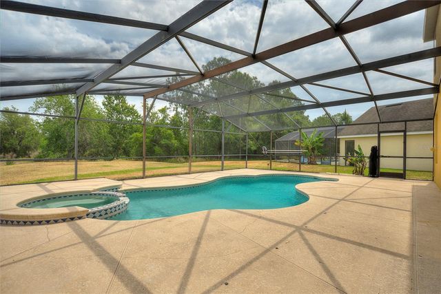 146 AFRICAN DAISY COURT, Davenport, FL 33837