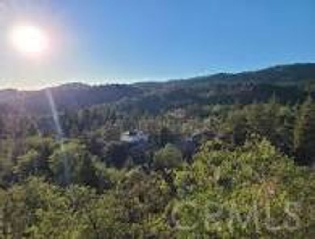 1894 Arrow Bear Park, Running Springs, CA 92382