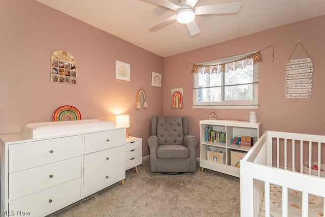 7109 W Jefferson Drive, Mentor, OH 44060