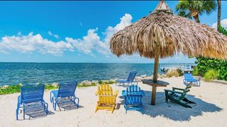 2506 N ROCKY POINT DRIVE 475, Tampa, FL 33607