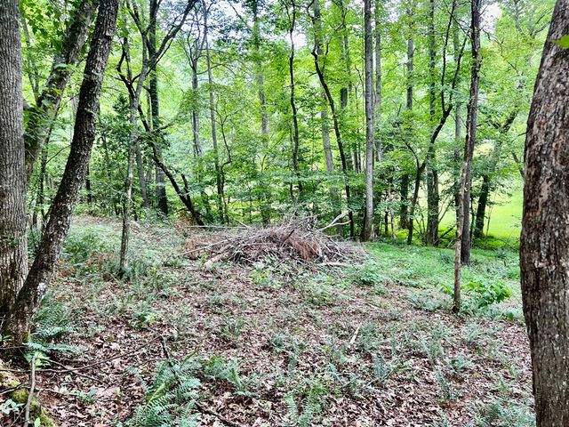Lot 3 Lower Fox Trail, Blairsville, GA 30512